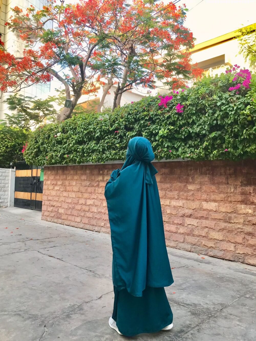 Timeless Veil