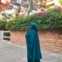 Timeless Veil