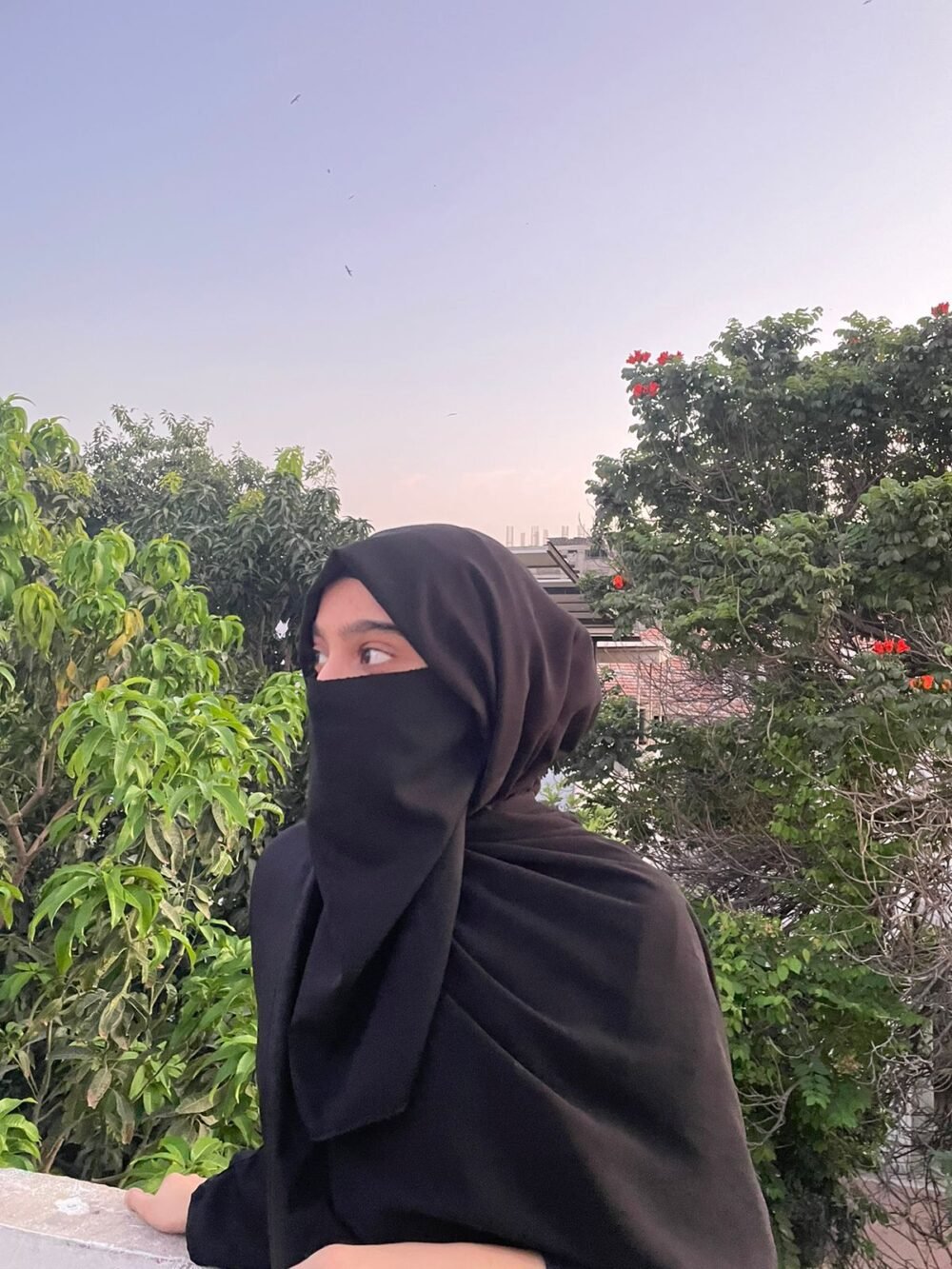 Batwoman-Half Niqab