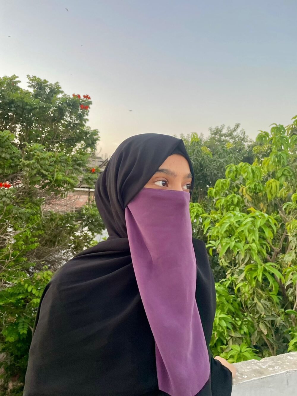 Mauve supremacy-colorful niqab