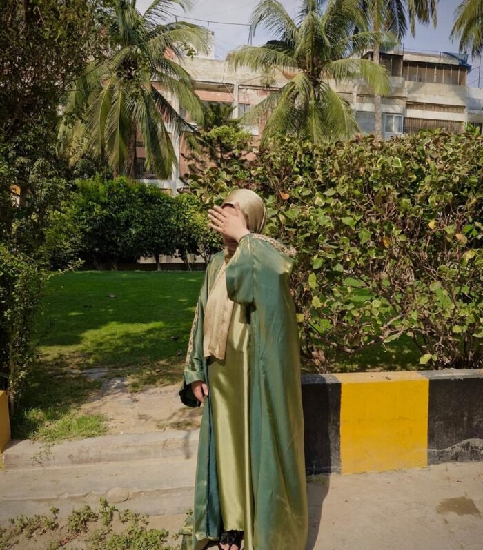 fancy abaya- Noor Ul Haya