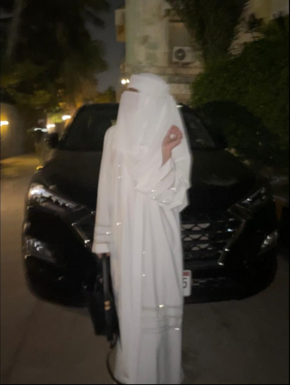 Habibi Noor Abaya