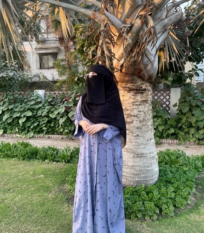 Moon Lit Printed Georgette Abaya